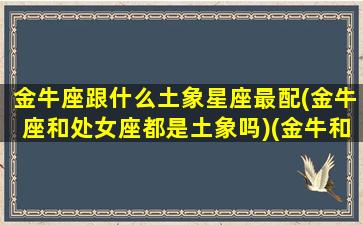 金牛座跟什么土象星座最配(金牛座和处女座都是土象吗)(金牛和什么座最有缘)