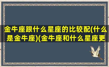 金牛座跟什么星座的比较配(什么是金牛座)(金牛座和什么星座更般配)