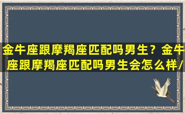 金牛座跟摩羯座匹配吗男生？金牛座跟摩羯座匹配吗男生会怎么样/金牛座跟摩羯座匹配吗男生？金牛座跟摩羯座匹配吗男生会怎么样-我的网站