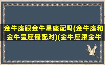 金牛座跟金牛星座配吗(金牛座和金牛星座最配对)(金牛座跟金牛座的匹配程度)