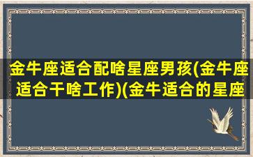 金牛座适合配啥星座男孩(金牛座适合干啥工作)(金牛适合的星座配对)