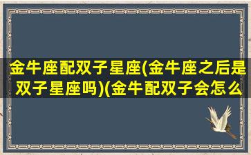 金牛座配双子星座(金牛座之后是双子星座吗)(金牛配双子会怎么样)