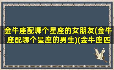 金牛座配哪个星座的女朋友(金牛座配哪个星座的男生)(金牛座匹配什么星座女孩)