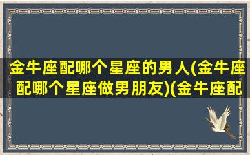 金牛座配哪个星座的男人(金牛座配哪个星座做男朋友)(金牛座配什么男人)