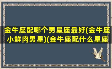 金牛座配哪个男星座最好(金牛座小鲜肉男星)(金牛座配什么星座的男生)