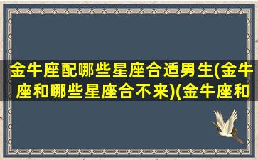 金牛座配哪些星座合适男生(金牛座和哪些星座合不来)(金牛座和什么星座最配做夫妻男)