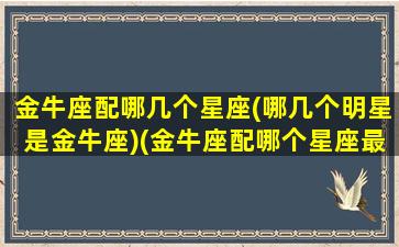 金牛座配哪几个星座(哪几个明星是金牛座)(金牛座配哪个星座最好)