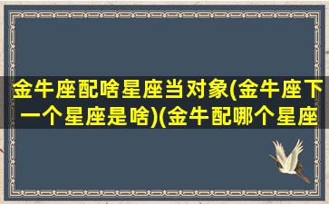 金牛座配啥星座当对象(金牛座下一个星座是啥)(金牛配哪个星座)