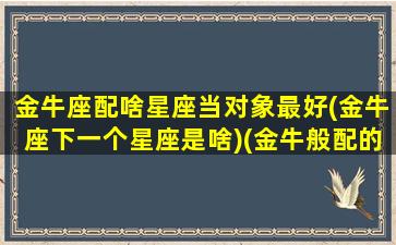 金牛座配啥星座当对象最好(金牛座下一个星座是啥)(金牛般配的星座)