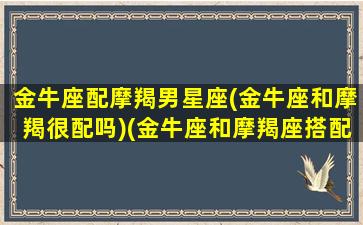 金牛座配摩羯男星座(金牛座和摩羯很配吗)(金牛座和摩羯座搭配)