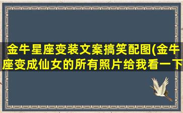 金牛星座变装文案搞笑配图(金牛座变成仙女的所有照片给我看一下)