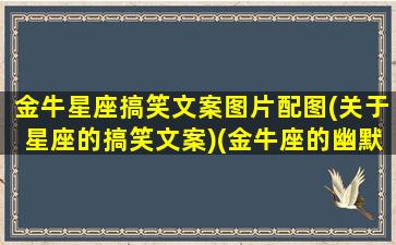 金牛星座搞笑文案图片配图(关于星座的搞笑文案)(金牛座的幽默感)