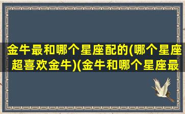 金牛最和哪个星座配的(哪个星座超喜欢金牛)(金牛和哪个星座最适合谈恋爱)