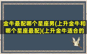 金牛最配哪个星座男(上升金牛和哪个星座最配)(上升金牛适合的伴侣)