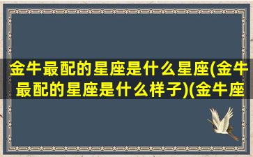 金牛最配的星座是什么星座(金牛最配的星座是什么样子)(金牛座最配的星座是哪个)