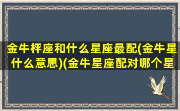 金牛枰座和什么星座最配(金牛星什么意思)(金牛星座配对哪个星座)