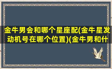 金牛男会和哪个星座配(金牛星发动机号在哪个位置)(金牛男和什么星座做朋友)