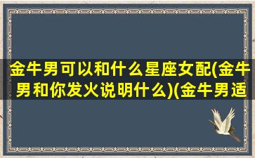 金牛男可以和什么星座女配(金牛男和你发火说明什么)(金牛男适合和什么星座在一起)