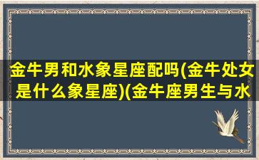 金牛男和水象星座配吗(金牛处女是什么象星座)(金牛座男生与水瓶的配对指数)