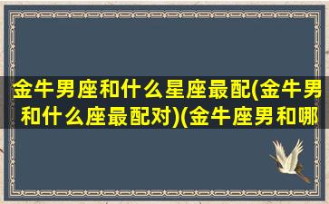 金牛男座和什么星座最配(金牛男和什么座最配对)(金牛座男和哪个星座最般配)