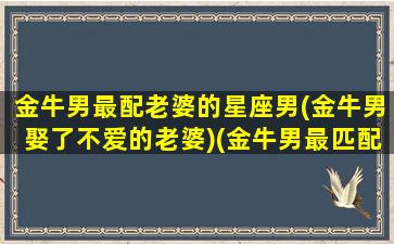 金牛男最配老婆的星座男(金牛男娶了不爱的老婆)(金牛男最匹配星座)