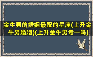 金牛男的婚姻最配的星座(上升金牛男婚姻)(上升金牛男专一吗)