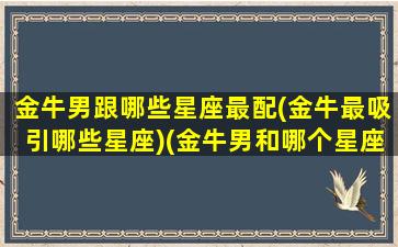 金牛男跟哪些星座最配(金牛最吸引哪些星座)(金牛男和哪个星座最配情侣)