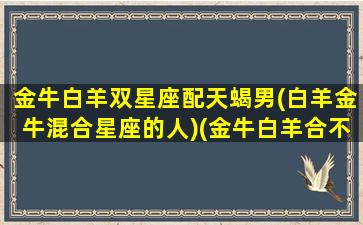 金牛白羊双星座配天蝎男(白羊金牛混合星座的人)(金牛白羊合不合)