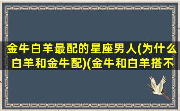 金牛白羊最配的星座男人(为什么白羊和金牛配)(金牛和白羊搭不搭)