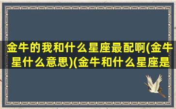 金牛的我和什么星座最配啊(金牛星什么意思)(金牛和什么星座是最好的朋友)