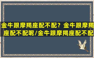 金牛跟摩羯座配不配？金牛跟摩羯座配不配呢/金牛跟摩羯座配不配？金牛跟摩羯座配不配呢-我的网站