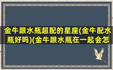 金牛跟水瓶超配的星座(金牛配水瓶好吗)(金牛跟水瓶在一起会怎样)