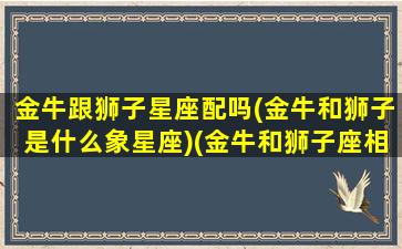 金牛跟狮子星座配吗(金牛和狮子是什么象星座)(金牛和狮子座相配是多少指数)