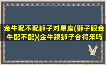 金牛配不配狮子对星座(狮子跟金牛配不配)(金牛跟狮子合得来吗)