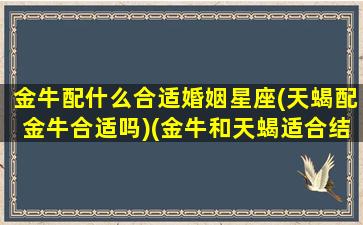 金牛配什么合适婚姻星座(天蝎配金牛合适吗)(金牛和天蝎适合结婚吗)