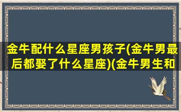 金牛配什么星座男孩子(金牛男最后都娶了什么星座)(金牛男生和什么星座最配)