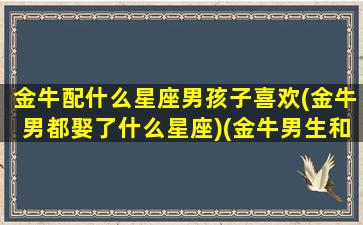 金牛配什么星座男孩子喜欢(金牛男都娶了什么星座)(金牛男生和什么星座女生最配)