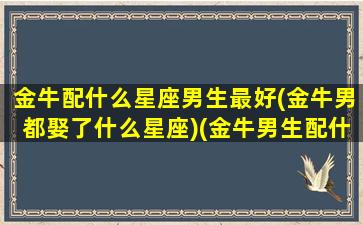 金牛配什么星座男生最好(金牛男都娶了什么星座)(金牛男生配什么星座配对)