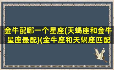 金牛配哪一个星座(天蝎座和金牛星座最配)(金牛座和天蝎座匹配度)