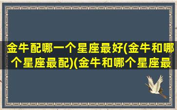 金牛配哪一个星座最好(金牛和哪个星座最配)(金牛和哪个星座最匹配)