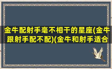 金牛配射手毫不相干的星座(金牛跟射手配不配)(金牛和射手适合什么关系)