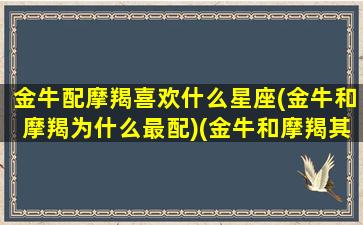 金牛配摩羯喜欢什么星座(金牛和摩羯为什么最配)(金牛和摩羯其实绝配)