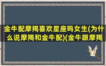 金牛配摩羯喜欢星座吗女生(为什么说摩羯和金牛配)(金牛跟摩羯合得来吗)