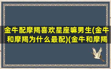 金牛配摩羯喜欢星座嘛男生(金牛和摩羯为什么最配)(金牛和摩羯的情侣值)