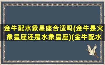 金牛配水象星座合适吗(金牛是火象星座还是水象星座)(金牛配水平)