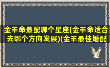 金羊命最配哪个星座(金羊命适合去哪个方向发展)(金羊最佳婚配)