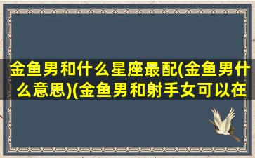 金鱼男和什么星座最配(金鱼男什么意思)(金鱼男和射手女可以在一起吗)