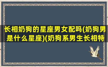 长相奶狗的星座男女配吗(奶狗男是什么星座)(奶狗系男生长相特点)