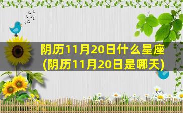 阴历11月20日什么星座(阴历11月20日是哪天)