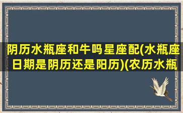 阴历水瓶座和牛吗星座配(水瓶座日期是阴历还是阳历)(农历水瓶座是几月几日出生的)